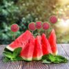 تاپر هندوانه‌ای شاد و خندون یلدایی