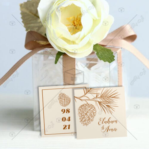 کارت گیفت عروسی طرح نوریجا
