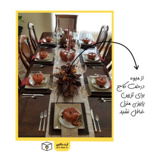 تزیین منزل با میوه درخت کاج