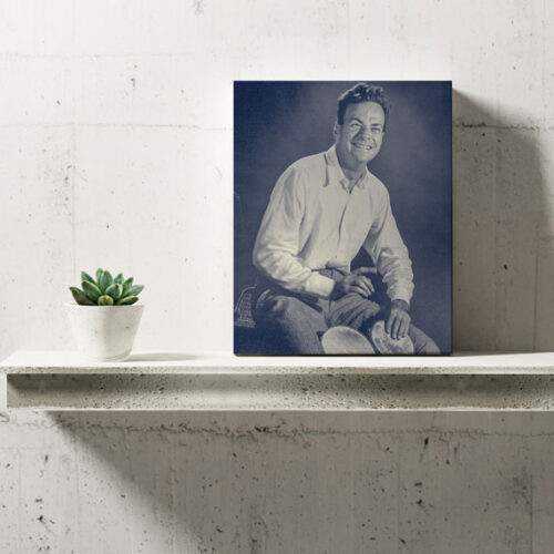 آقا فاینمن مشغول مطربی | تخته شاسی