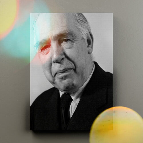 نلیز بور با خنده زورکی | تخته شاسی