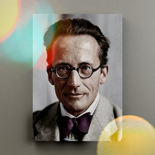 اروین شرودینگر لپ گلی | تخته شاسی